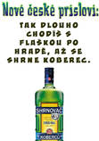 foto/forum/2013/th-img102873.jpg