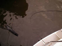 foto/forum/2013/th-img102886.jpg