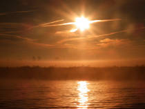 foto/forum/2013/th-img102888.jpg