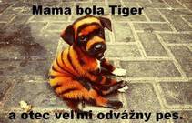 foto/forum/2013/th-img102917.jpg