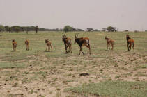 foto/forum/2013/th-img103022.jpg