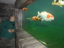 foto/forum/2013/th-img103043.jpg
