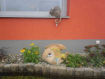 foto/forum/2013/th-img103047.jpg