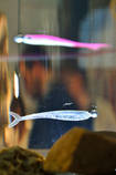 foto/forum/2013/th-img103121.jpg