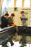 foto/forum/2013/th-img103174.jpg