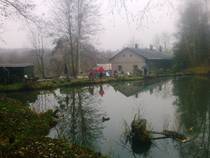 foto/forum/2013/th-img103192.jpg