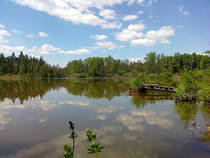 foto/forum/2013/th-img103306.jpg