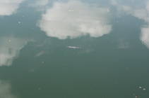 foto/forum/2013/th-img103311.jpg