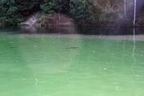 foto/forum/2013/th-img103313.jpg