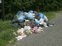 foto/forum/2013/th-img103439.jpg