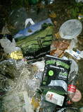 foto/forum/2013/th-img103441.jpg