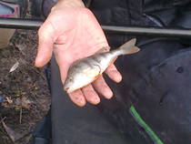 foto/forum/2013/th-img103451.jpg