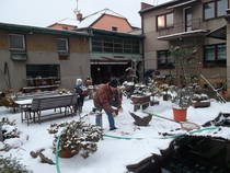foto/forum/2013/th-img103543.jpg