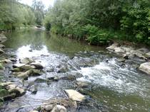 foto/forum/2013/th-img103590.jpg