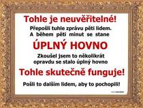 foto/forum/2013/th-img103713.jpg