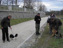 foto/forum/2013/th-img103882.jpg