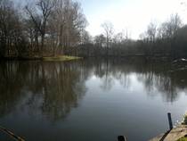 foto/forum/2013/th-img103938.jpg