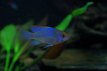 foto/forum/2013/th-img91241.jpg