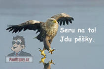 foto/forum/2013/th-img91411.jpg