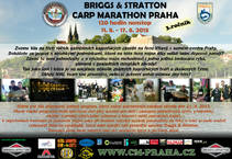 foto/forum/2013/th-img91608.jpg