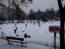 foto/forum/2013/th-img91759.jpg