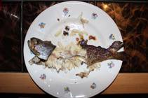 foto/forum/2013/th-img92223.jpg