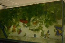 foto/forum/2013/th-img92374.jpg