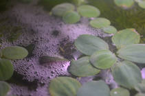 foto/forum/2013/th-img92375.jpg