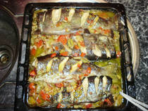 foto/forum/2013/th-img92400.jpg