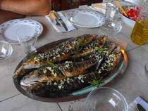 foto/forum/2013/th-img95910.jpg