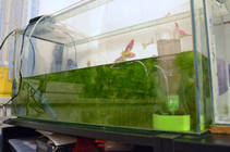 foto/forum/2013/th-img96025.jpg