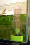 foto/forum/2013/th-img96026.jpg