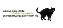 foto/forum/2013/th-img96204.jpg