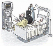 foto/forum/2013/th-img96436.png