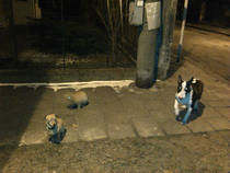 foto/forum/2013/th-img96812.jpg