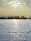 foto/forum/2013/th-img96911.jpg