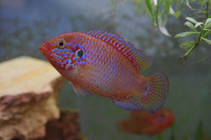 foto/forum/2013/th-img96996.jpg