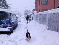 foto/forum/2013/th-img97161.jpg