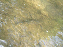 foto/forum/2013/th-img97474.jpg