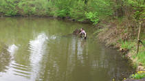 foto/forum/2013/th-img98196.jpg