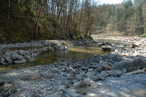 foto/forum/2013/th-img98268.jpg