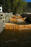 foto/forum/2013/th-img98272.jpg