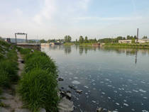 foto/forum/2013/th-img98421.jpg