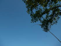foto/forum/2013/th-img98605.jpg