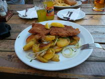foto/forum/2013/th-img98610.jpg