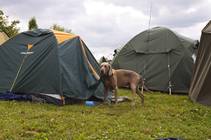 foto/forum/2013/th-img98719.jpg
