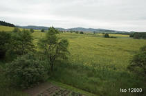 foto/forum/2013/th-img99040.jpg