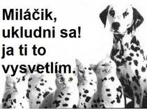 foto/forum/2013/th-img99168.jpg