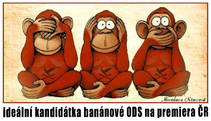 foto/forum/2013/th-img99853.jpg