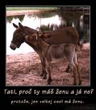 foto/forum/2014/th-img104323.jpg